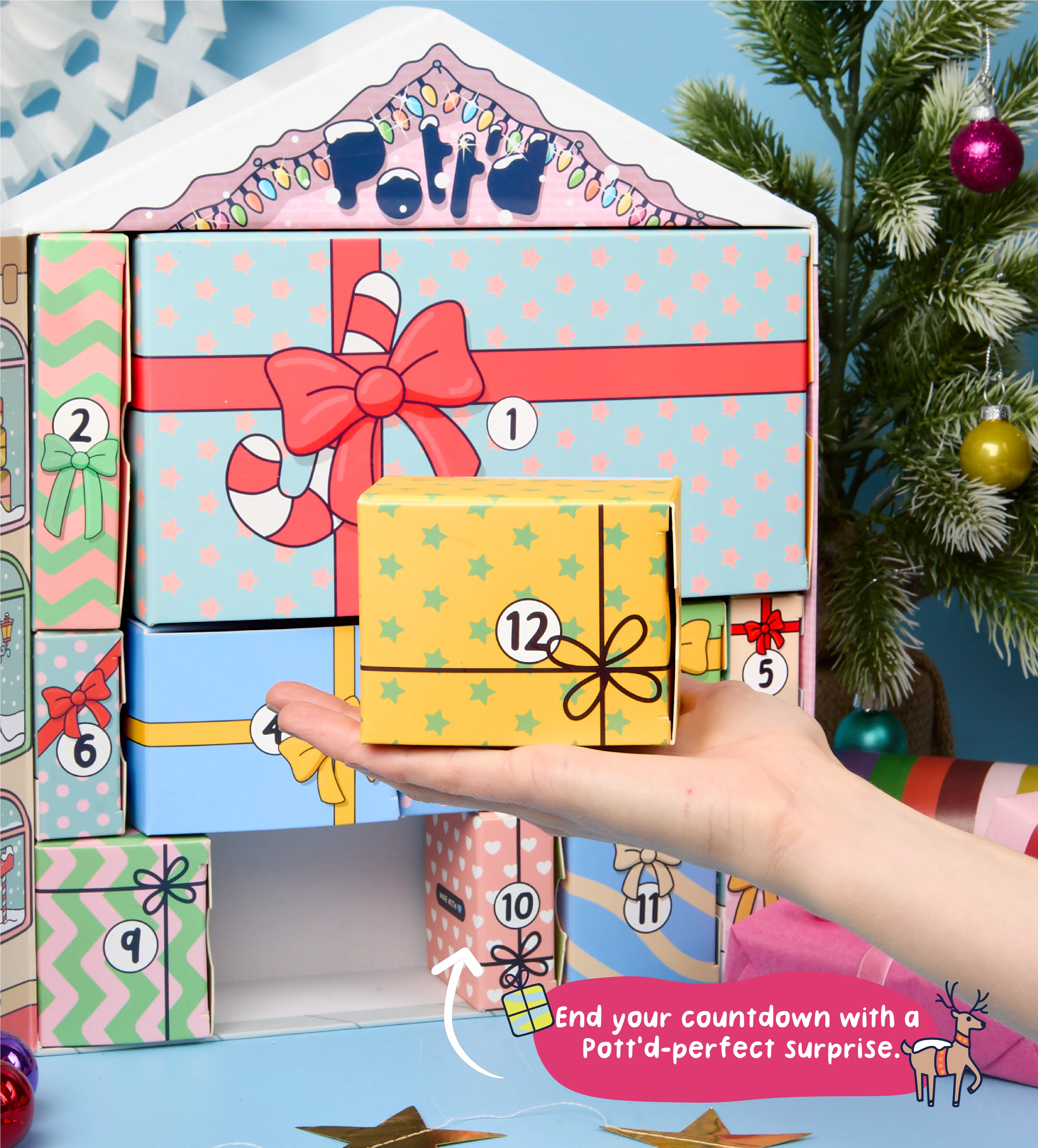 12 Days of Clay: Pott'd 2025 Advent Calendar - Image 5