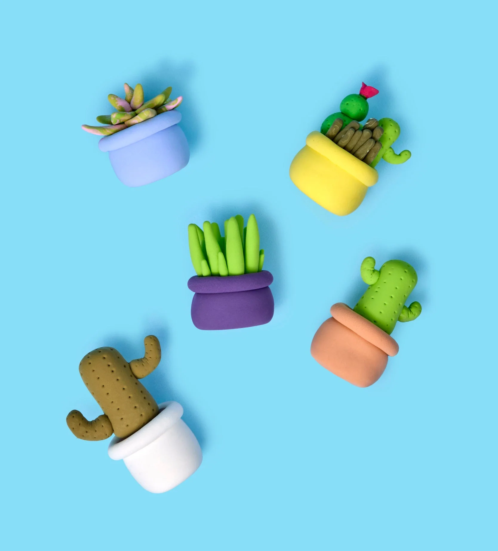 House Plant Bundle - Image 2