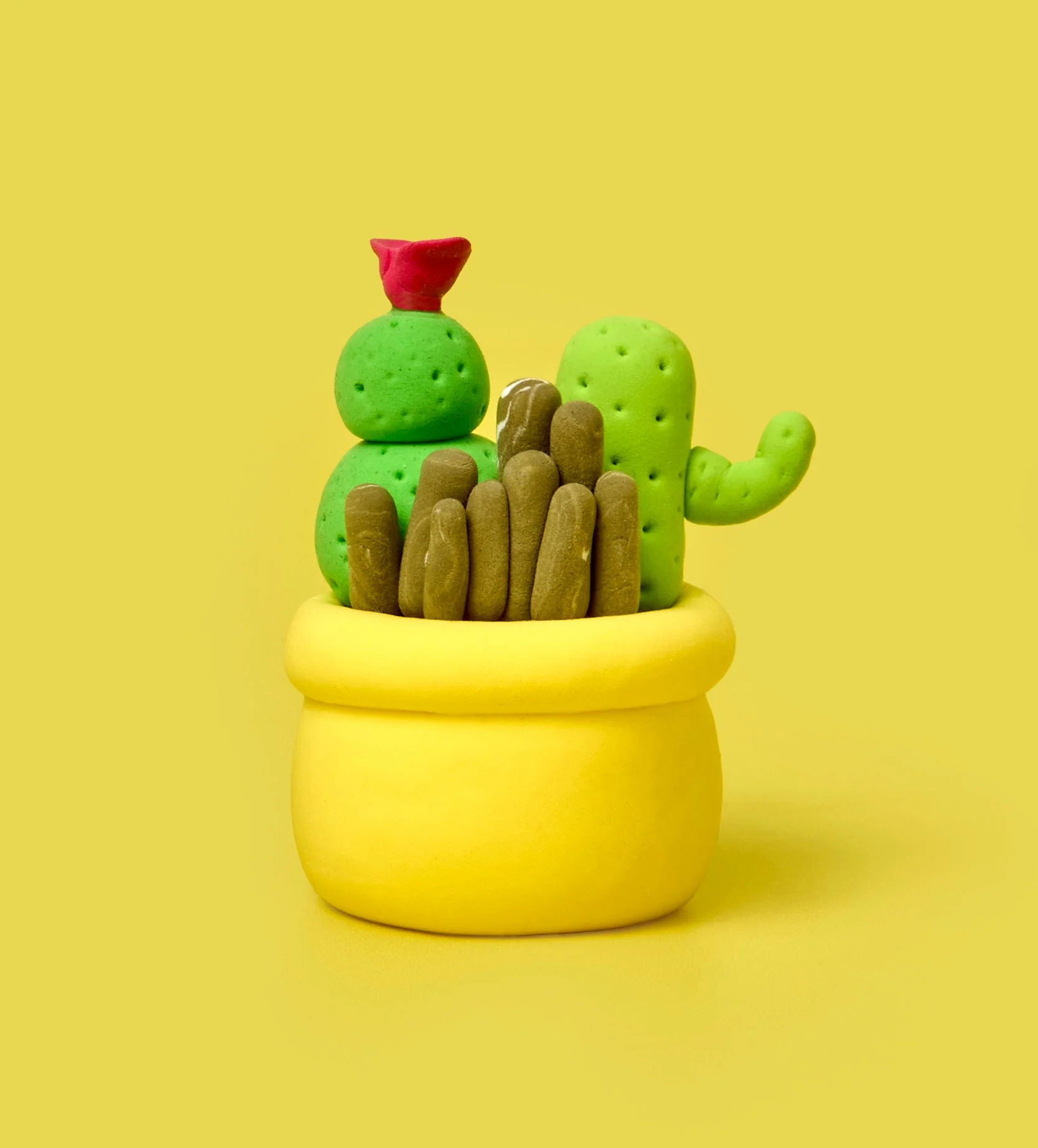 Sweet & Sharp Bundle - Image 9